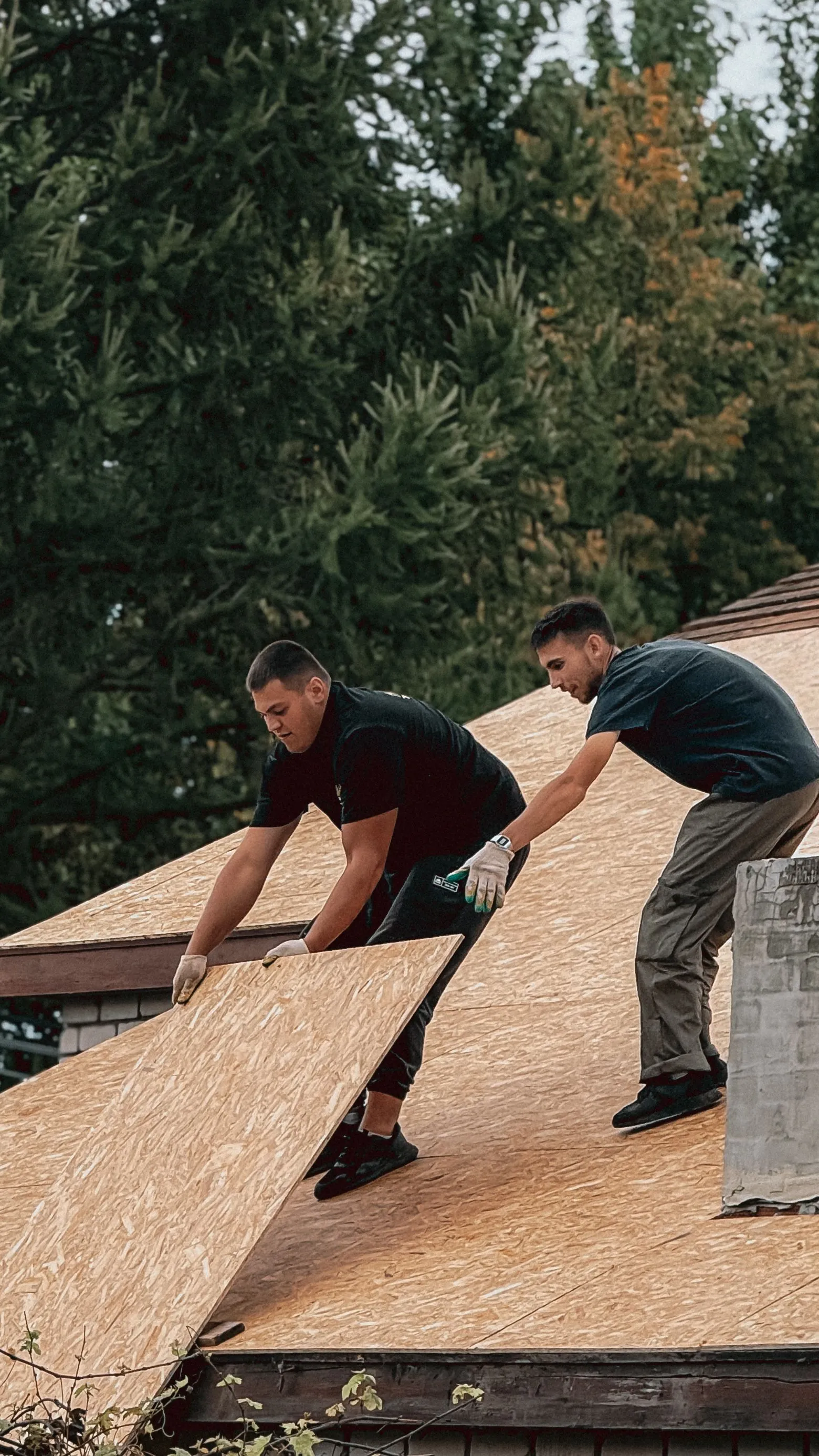 Two roofers laying a sheet of decking across the slope of a house